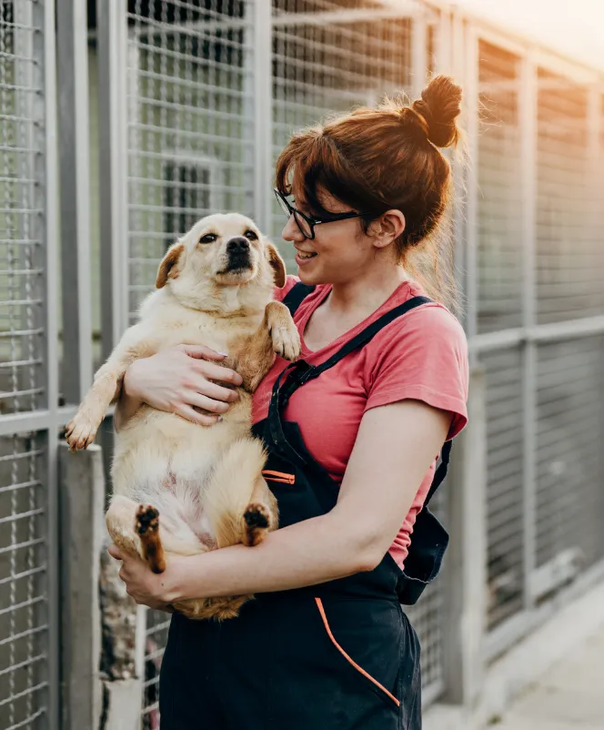 Adoption - Oldmonk Kennel